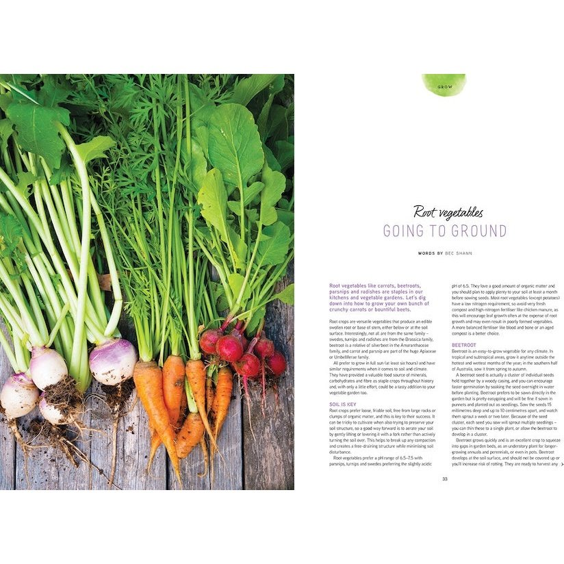 Pip Magazine Issue 31  - Growing Root Vegetables Article.