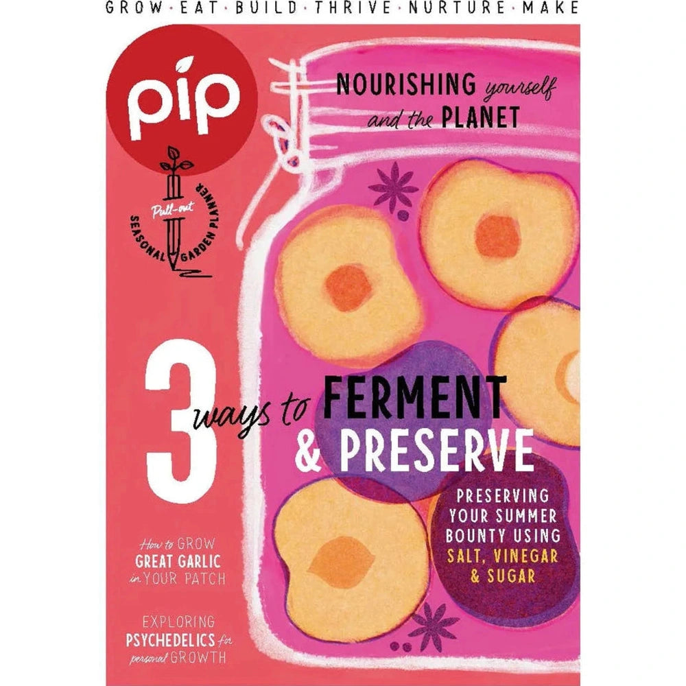 Cover Art for Pip Magazine Issue 35