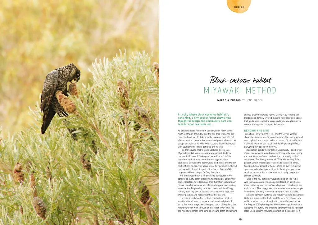 Pip Magazine - Issue 39