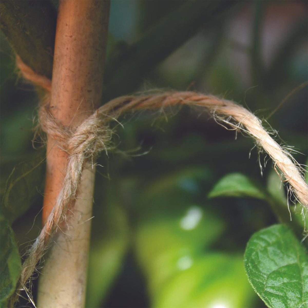 Twist Tie Jute and Wire - 5m Carded