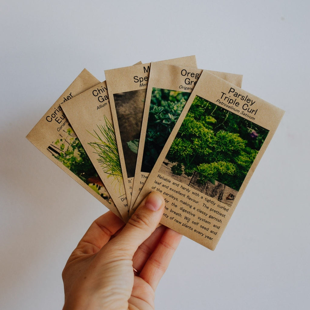 Kitchen Herbs Seed Pack