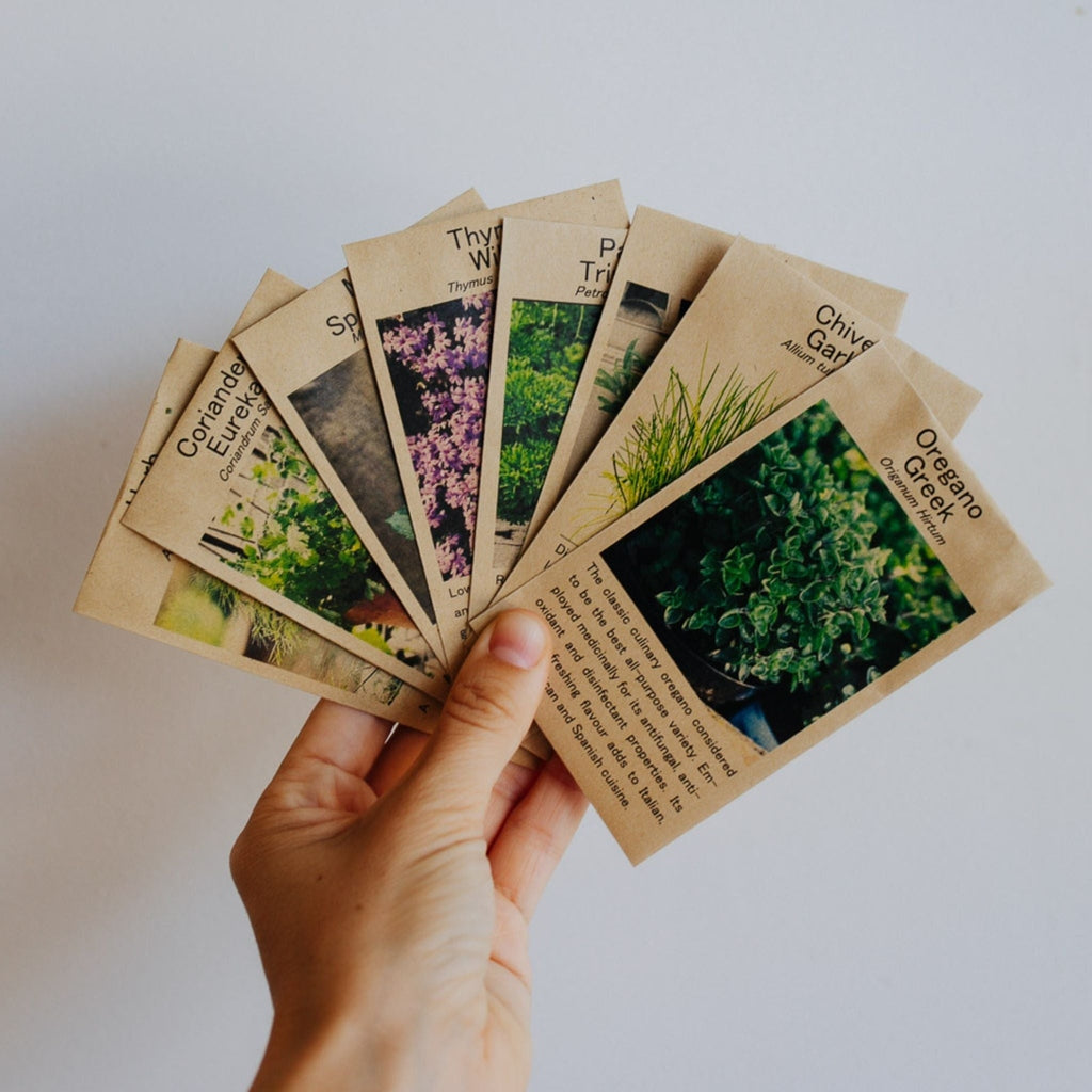 Kitchen Herbs Seed Pack