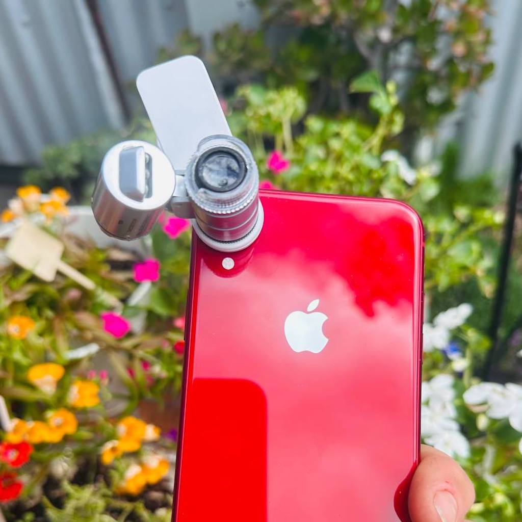 A compact microscope clipped onto a mobile phone camera lens, pictured in the  garden.