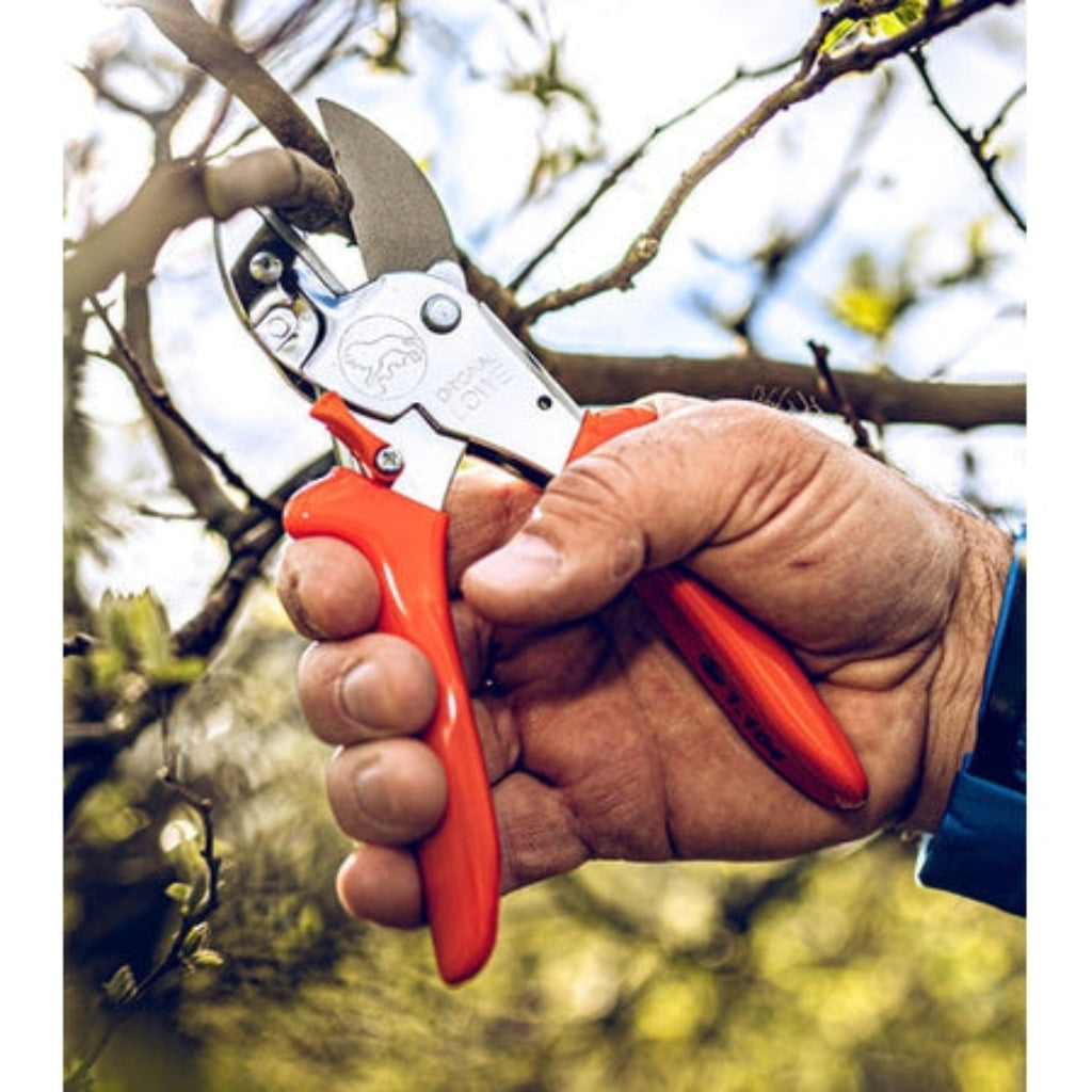 Hand holding a pair of red and silver pruning shears against a blurred natural background