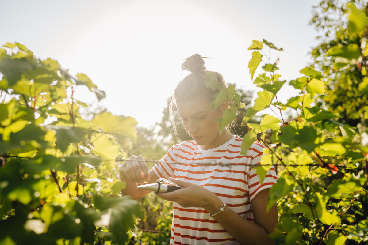 Brix Refractometer for Fruit and Vegetables