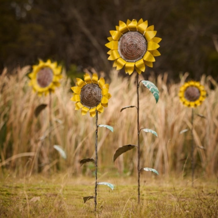 Decorative Metal Sunflower Stakes in Field.