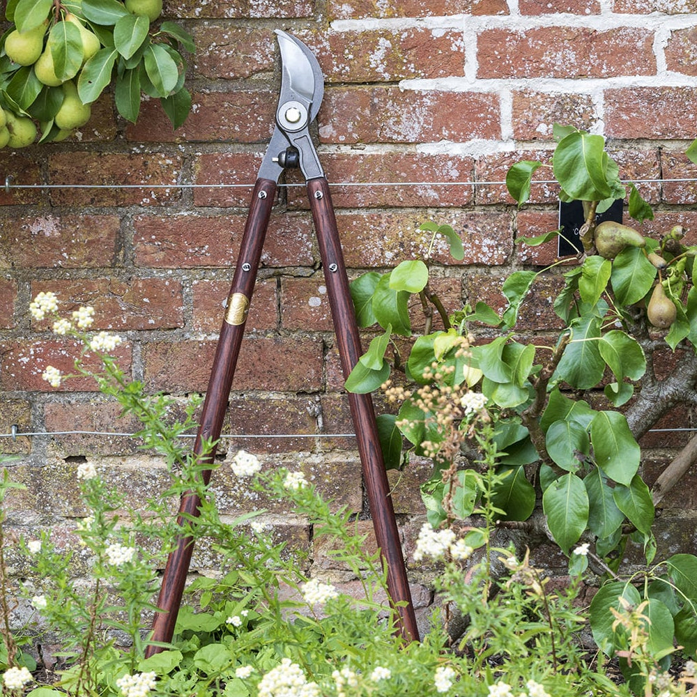 Garden Lopper, from the National Trust Collection by Burgon & Ball