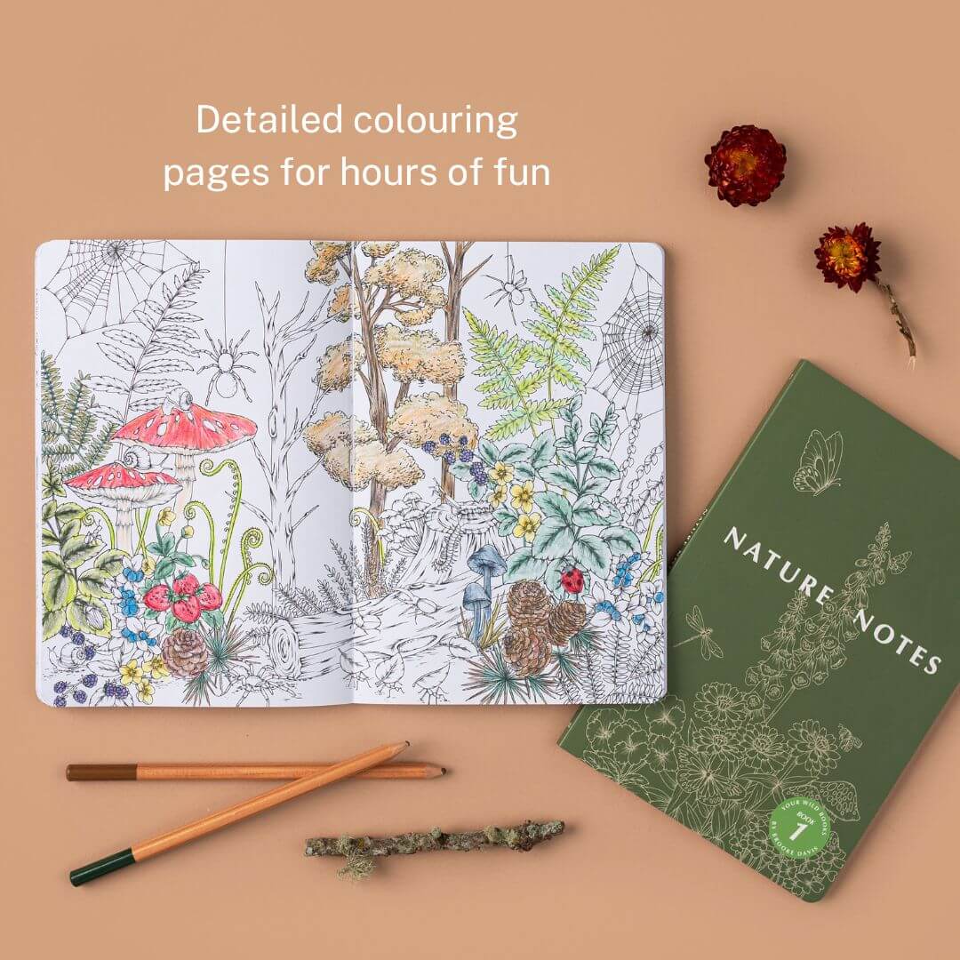 Nature Notes 1 - Guided Nature Journal by Your Wild Books