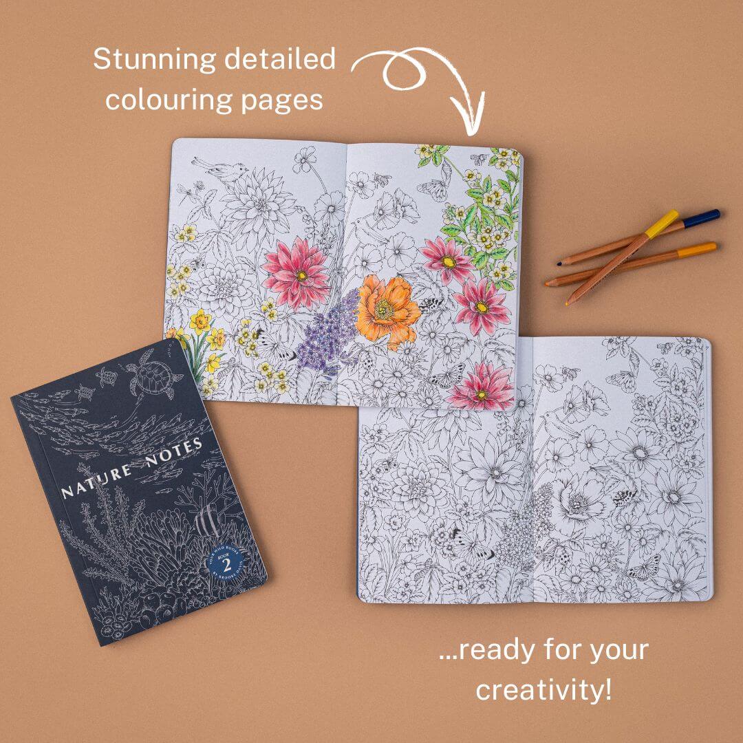 Nature Notes 2 - Guided Nature Journal by Your Wild Books