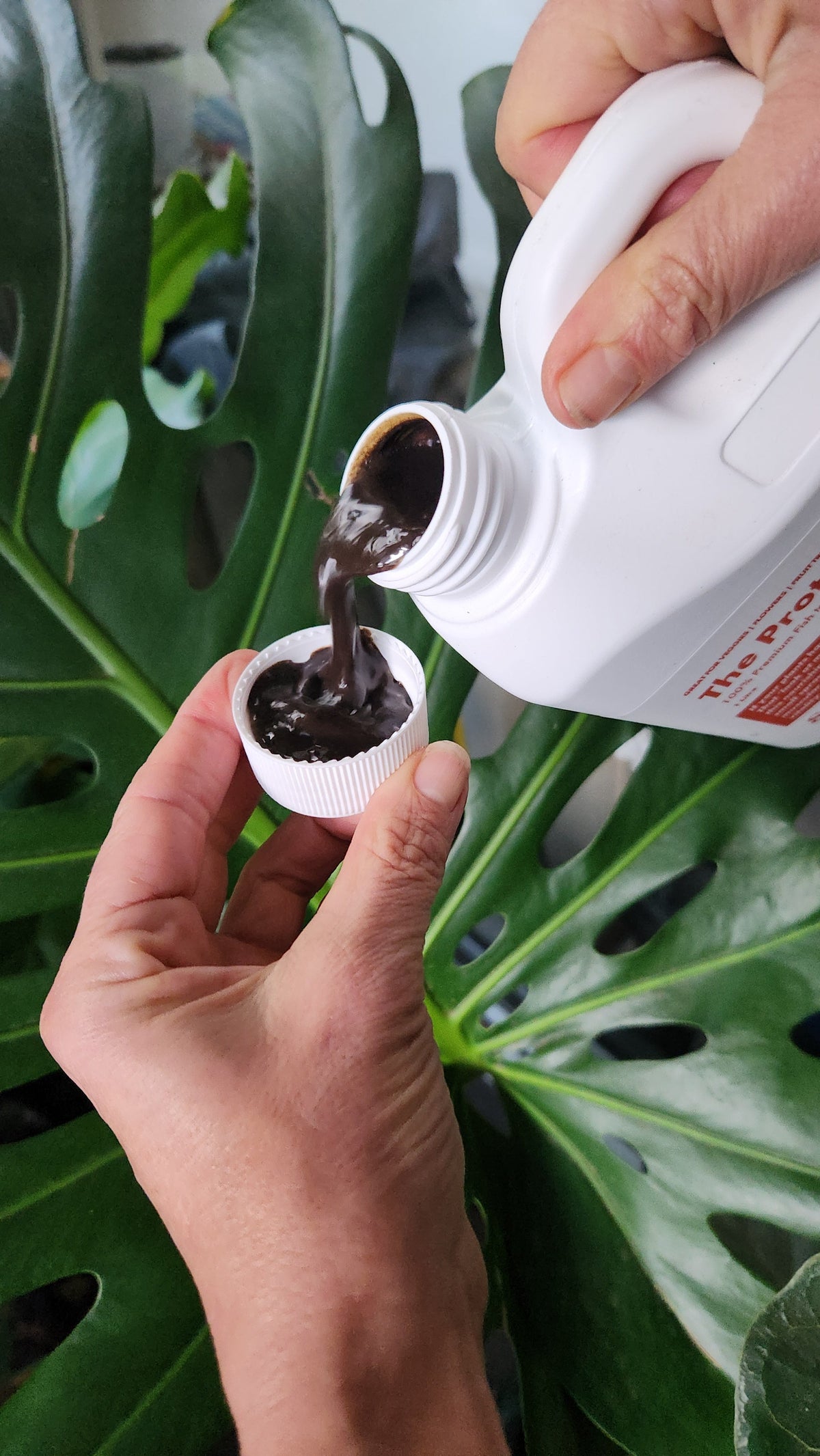 Soil Dynamics "The Protein Shake" 100% Pure Fish Emulsion