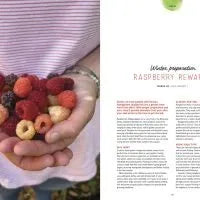 Pip Magazine Winter Issue Bundle - 5pk