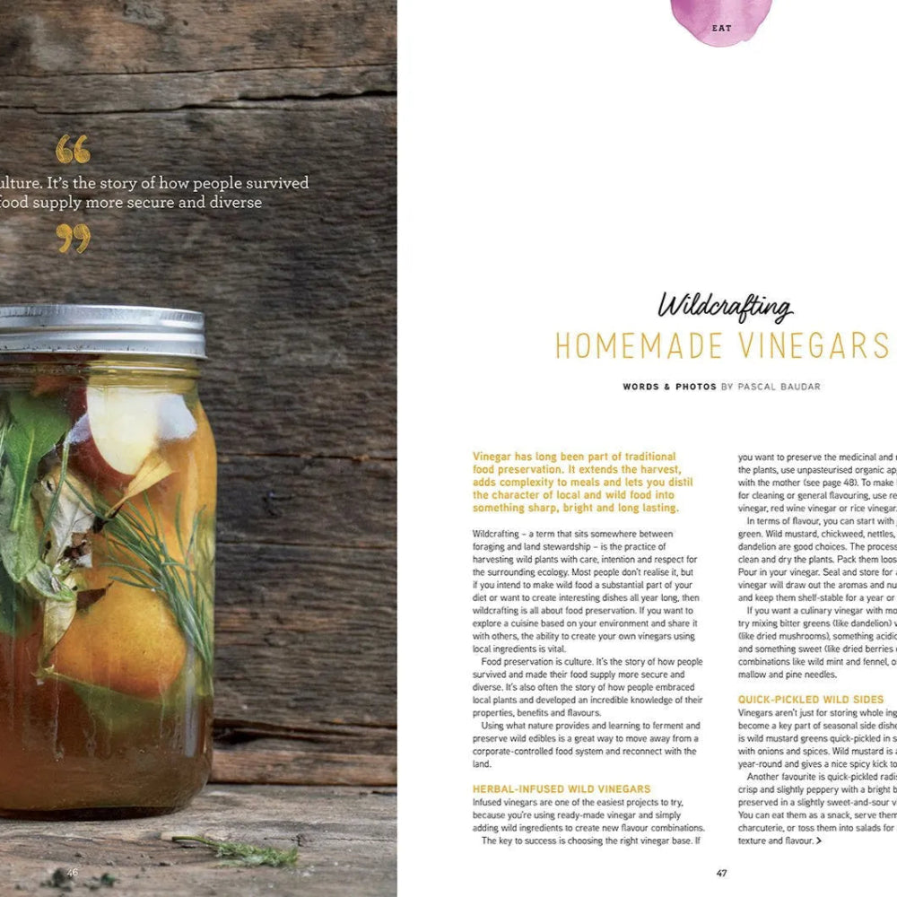 Homemade Vinegars Feature Article Preview in Pip Magazine Issue 37.