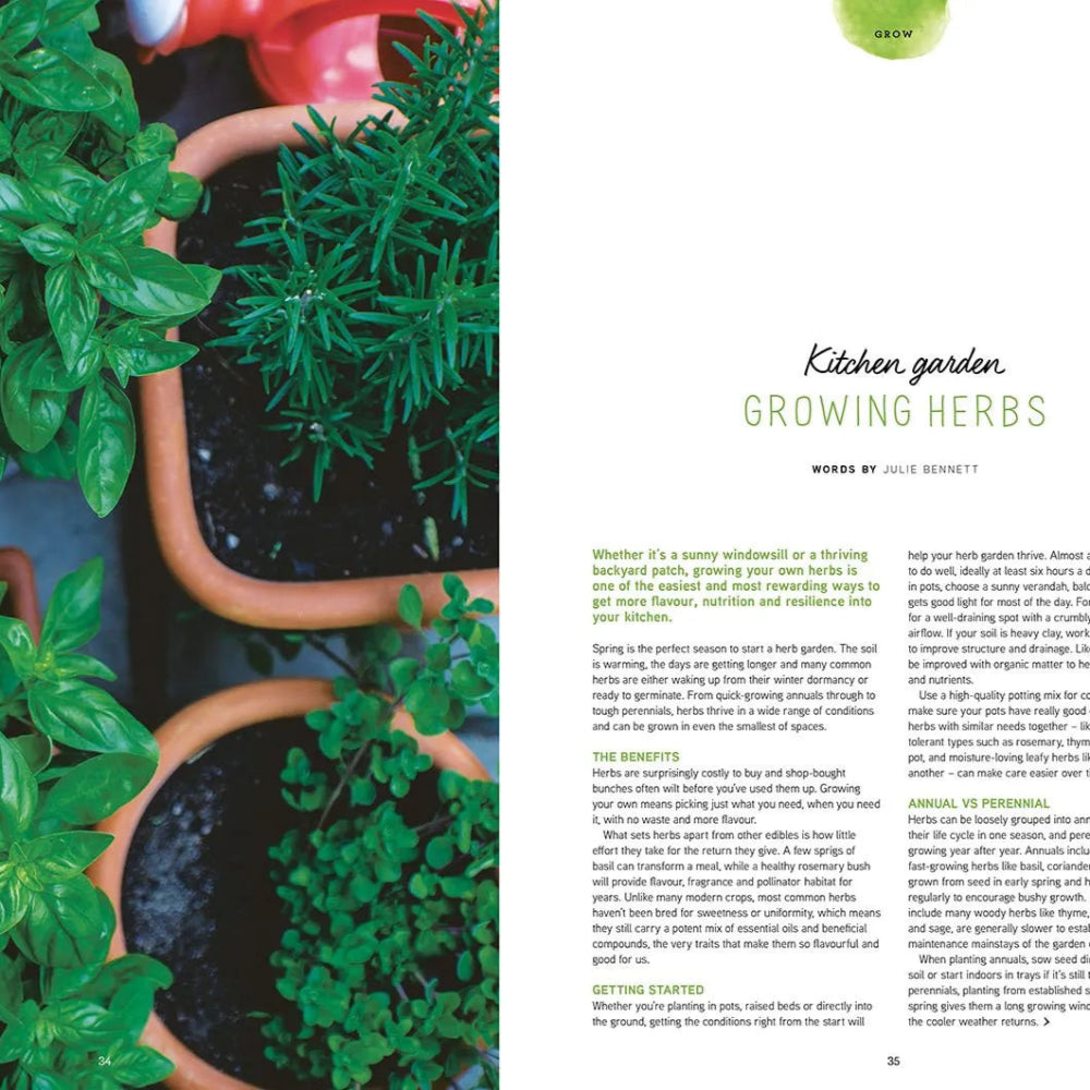 PIP Magazine Growing Herbs Feature Preview