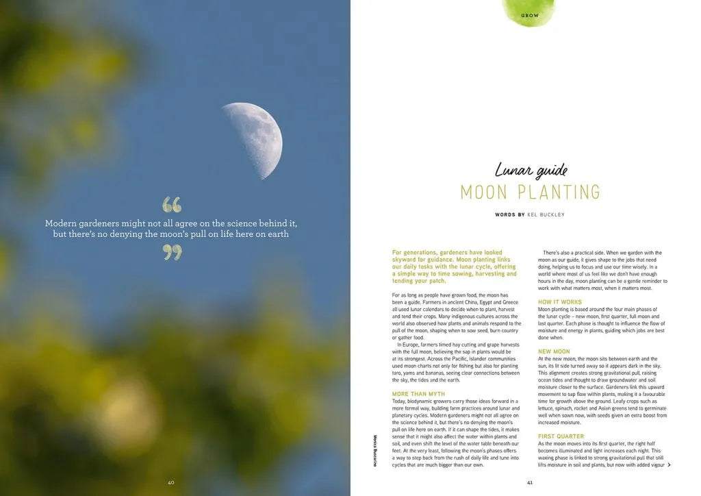 Pip Magazine - Issue 38