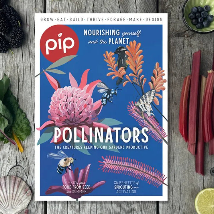 Cover of Pip Magazine Issue 41 featuring artwork of native Australian plants and bees.