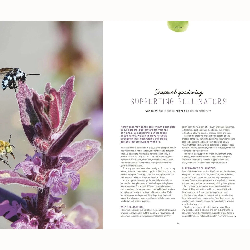 Snippet of Pip Magazine Issue 41 entitled "Seasonal Gardening: Supporting Pollinators"
