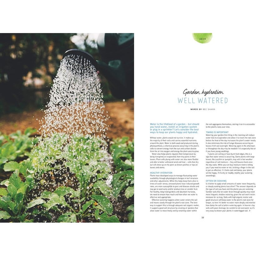 Pip Magazine Issue 31 - Garden Hydration Article.