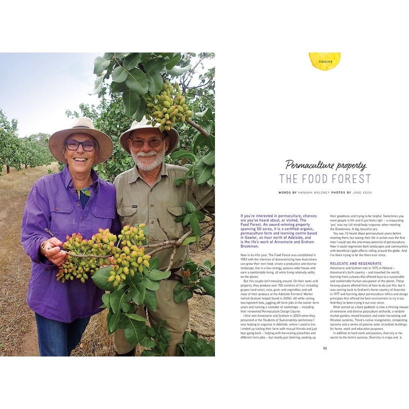 Pip Magazine Issue 31 - Permaculture Food Forest Article.