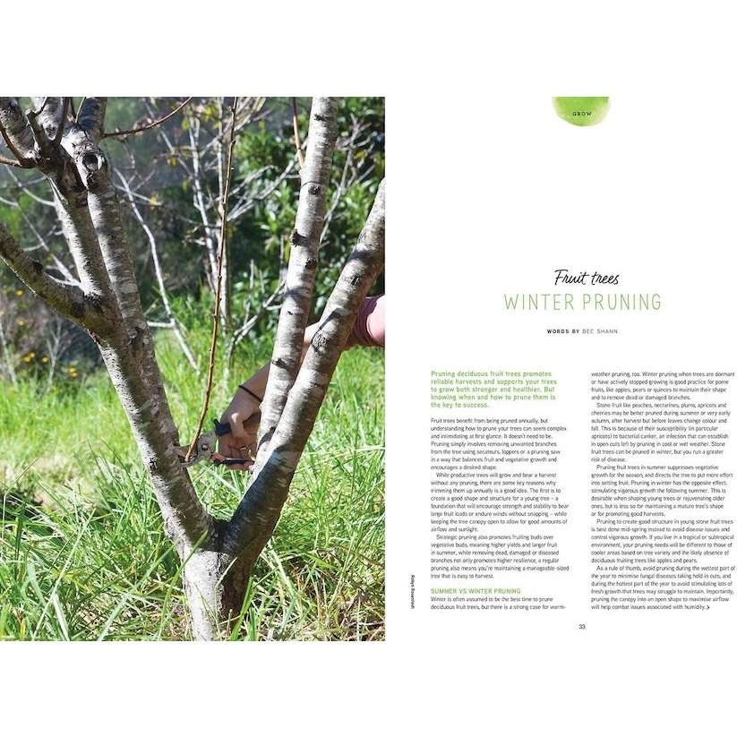 Pip Magazine Issue 31 - Fruit Tree Pruning Article.