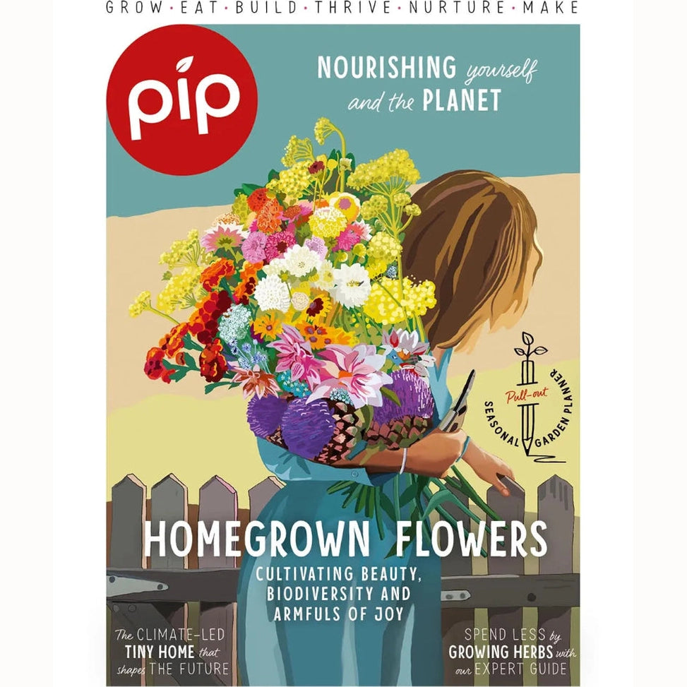 PIP Magazine Issue 37 Front Cover