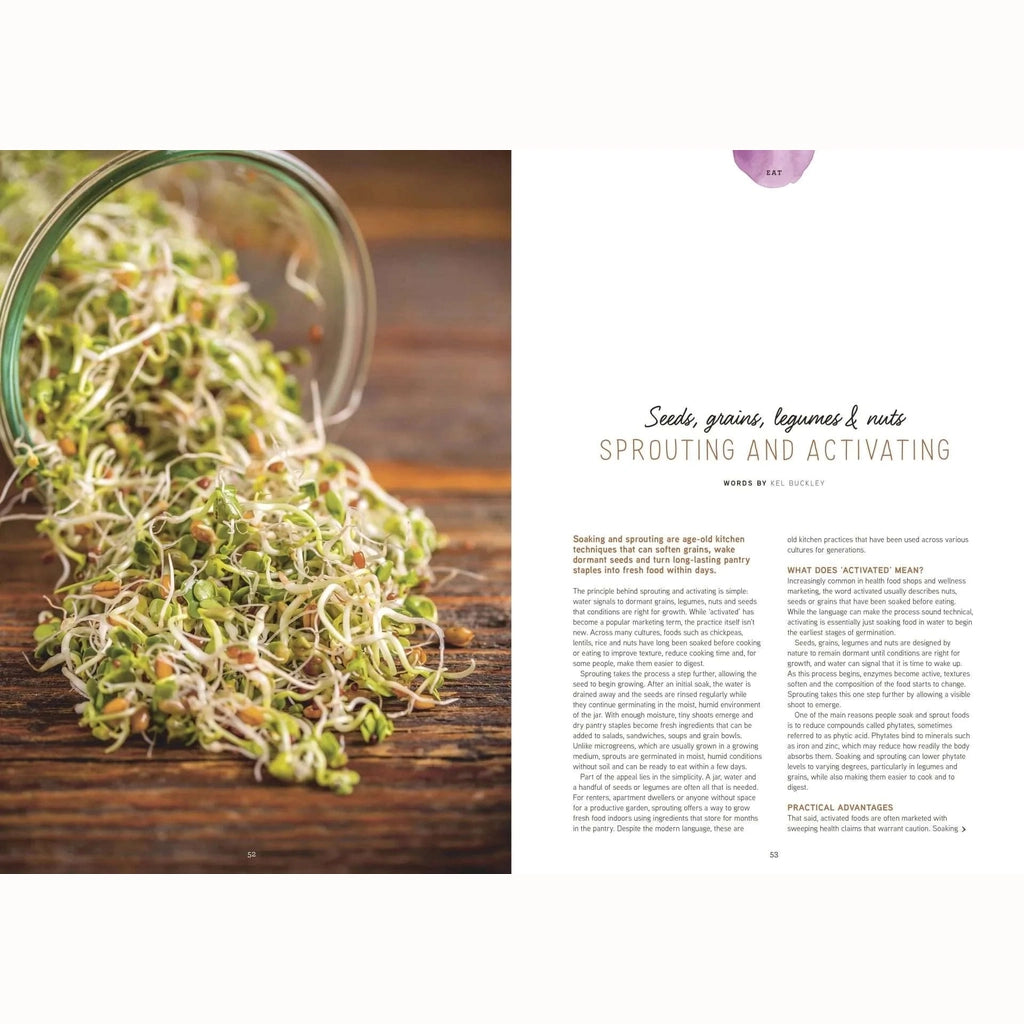 A spread of Pip Magazine Issue 41 showing a photograph of loose sprouts spilled from a glass jar onto a wooden surface on the left page, and article text titled 'Seeds, grains, legumes & nuts Sprouting and Activating' on the right page.