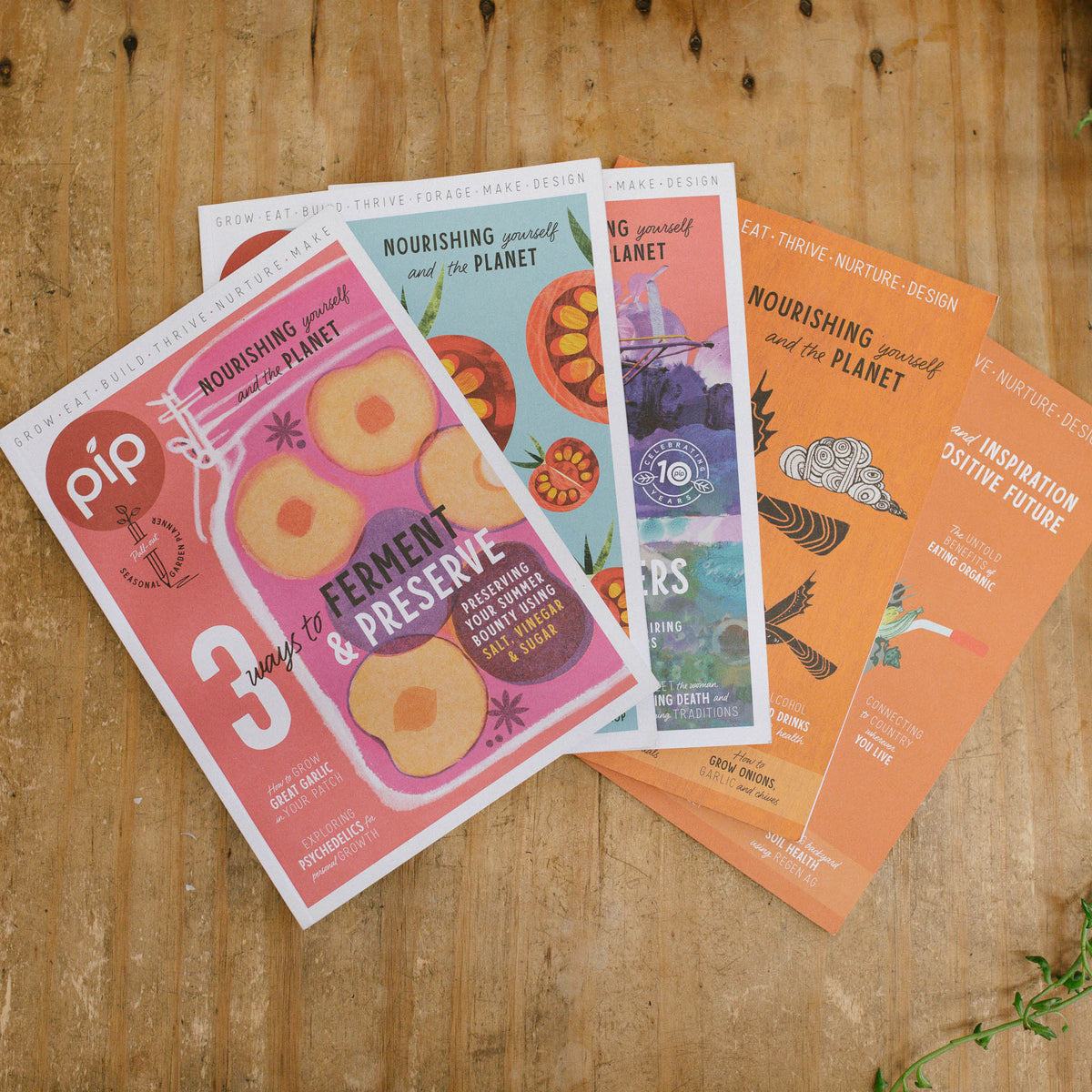 Pip Magazine Autumn Issue Bundle - 5pk