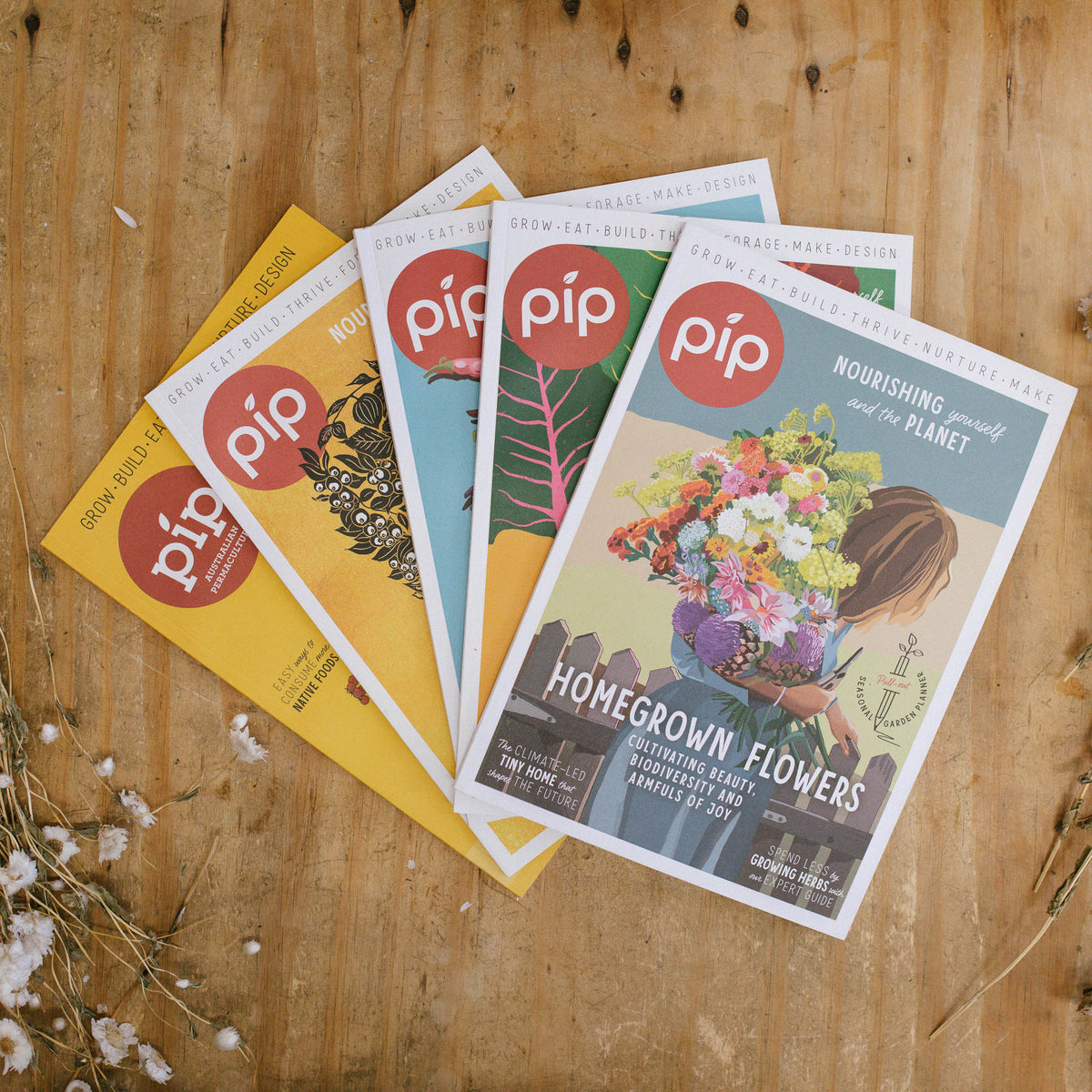 Pip Magazine Spring Issue Bundle - 5pk