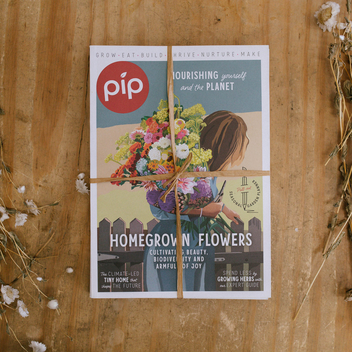 Pip Magazine Spring Issue Bundle - 5pk