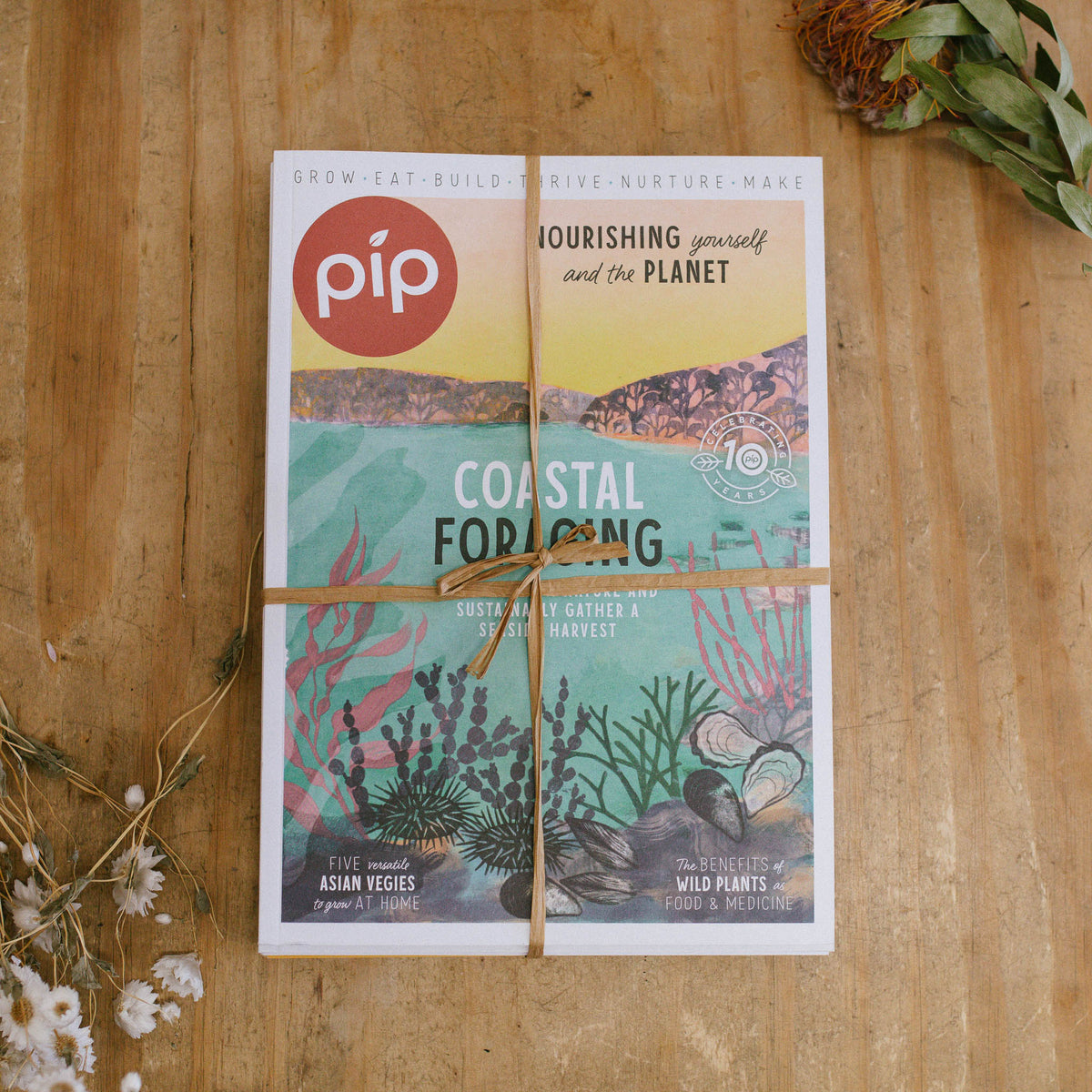 Pip Magazine Summer Issue Bundle - 5pk