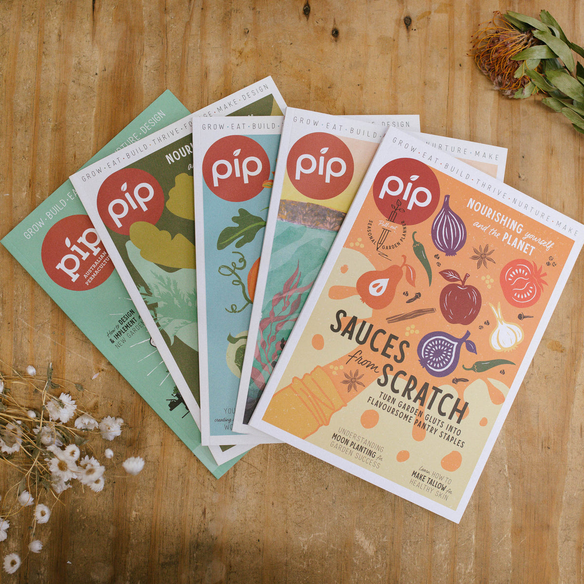 Pip Magazine Summer Issue Bundle - 5pk