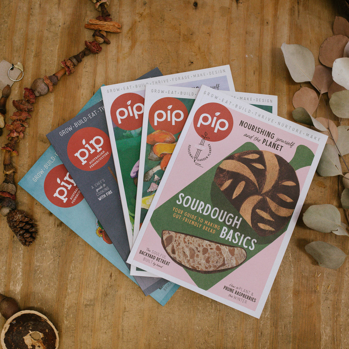 Pip Magazine Winter Issue Bundle - 5pk