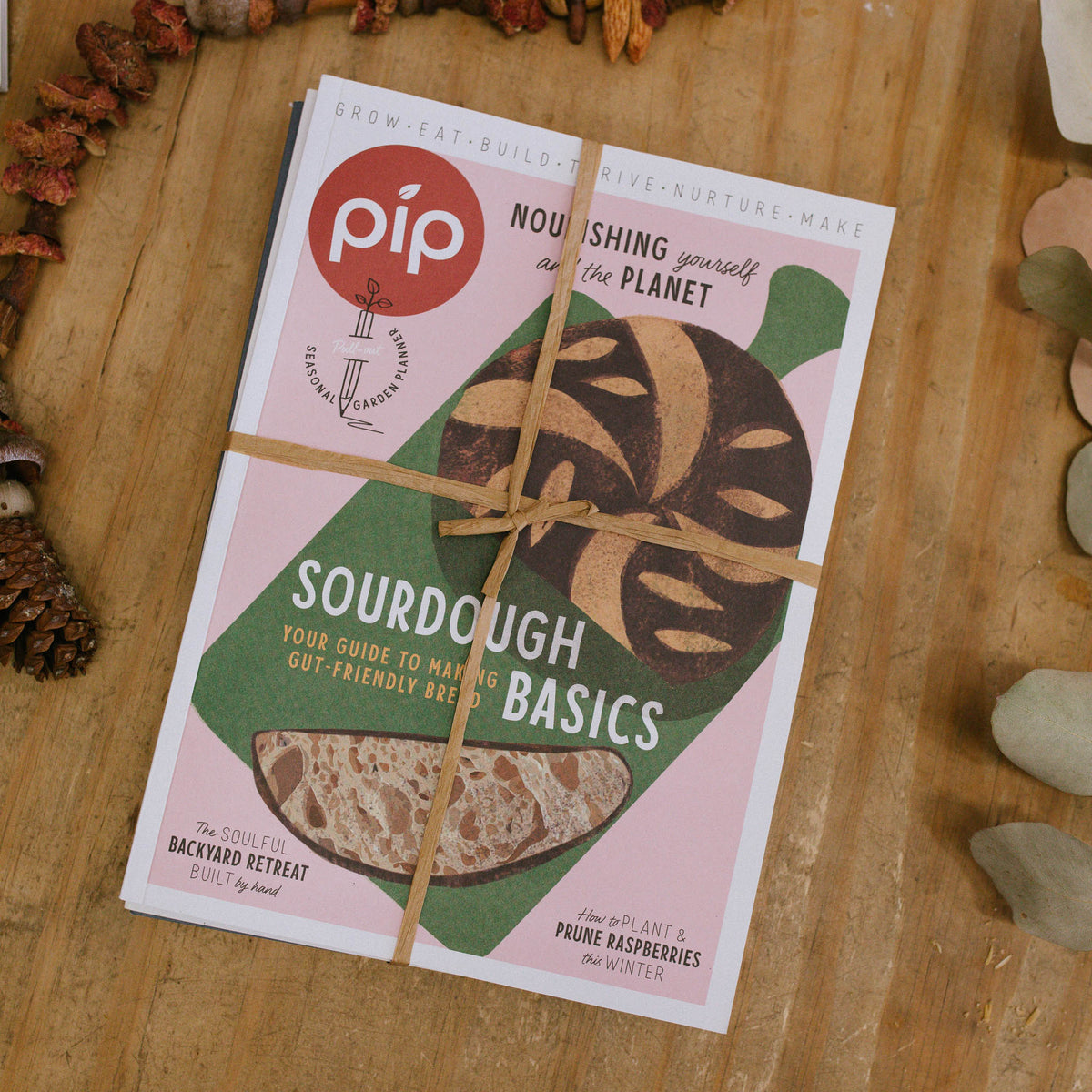 Pip Magazine Winter Issue Bundle - 5pk