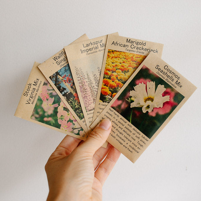 Pollinator Friendly Flower Seed Packs