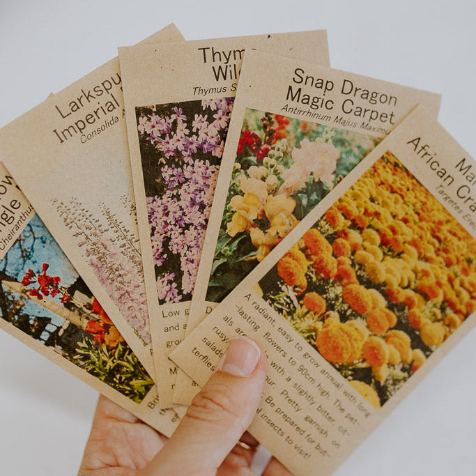 Pollinator Friendly Flower Seed Packs
