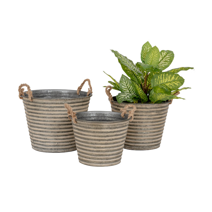 Three Rustic Zinc Coated Metal Plant Pots with Rope Handles in Three Sizes, One of which Contains a Plants on a White Background.