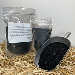 Dry Kelp Plant Tonic 250g Bag
