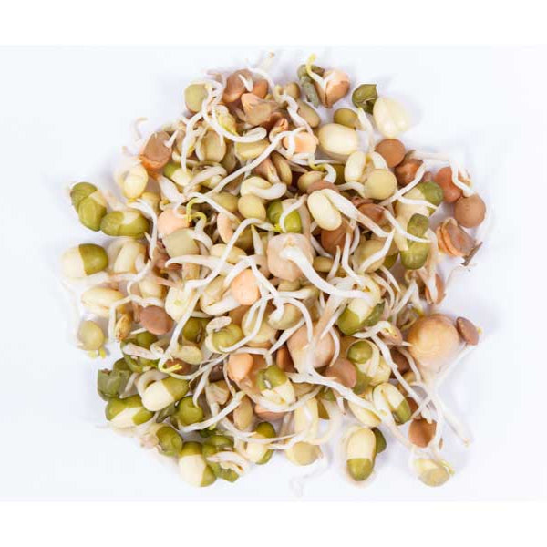 High Protein Sprouting Seed Mix Including Sprouted Chickpeas, Mungbeans & Lentils. 