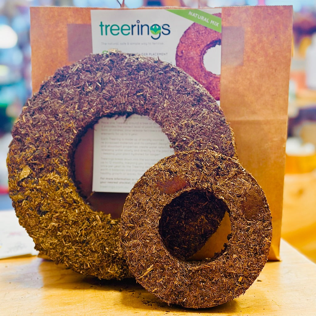 Treerings Available in Two Sizes - Regular and Mini, Urban Revolution.