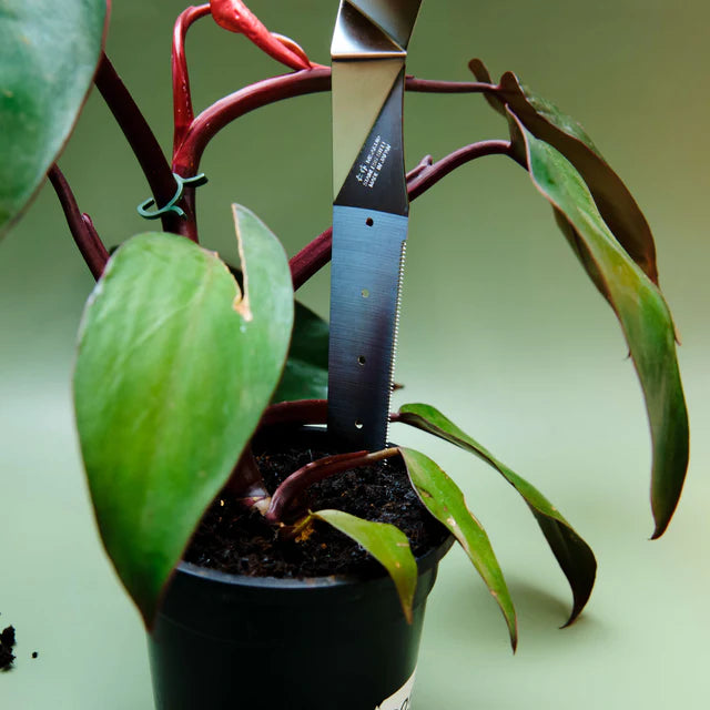 Nisaku &#39;Plant Master&#39; Stainless Steel Replanting Knife - Ideal for Dividing and Repotting Indoor Plants. 