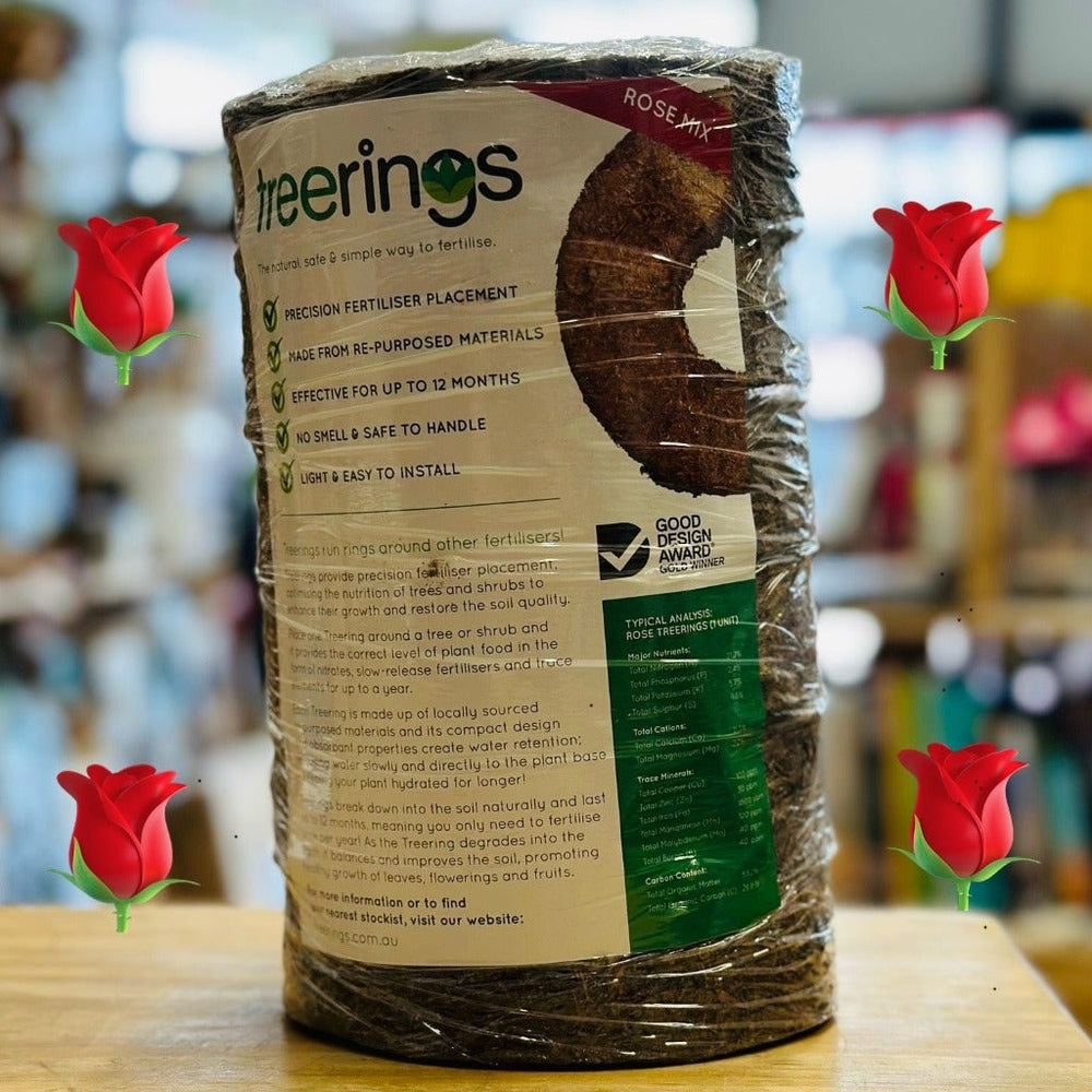 Mini Rose Blend Treerings Sold As 6 Pack, Urban Revolution.