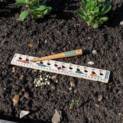 Children's Planting Ruler and Dibber - RHS Growing Gardeners