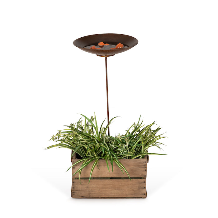Rust Look Metal Bird Bath on Stake in Planter Box.