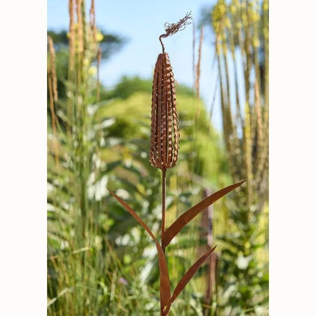 Rusty Metal Corn Cob Garden Stake in a Corn Field.