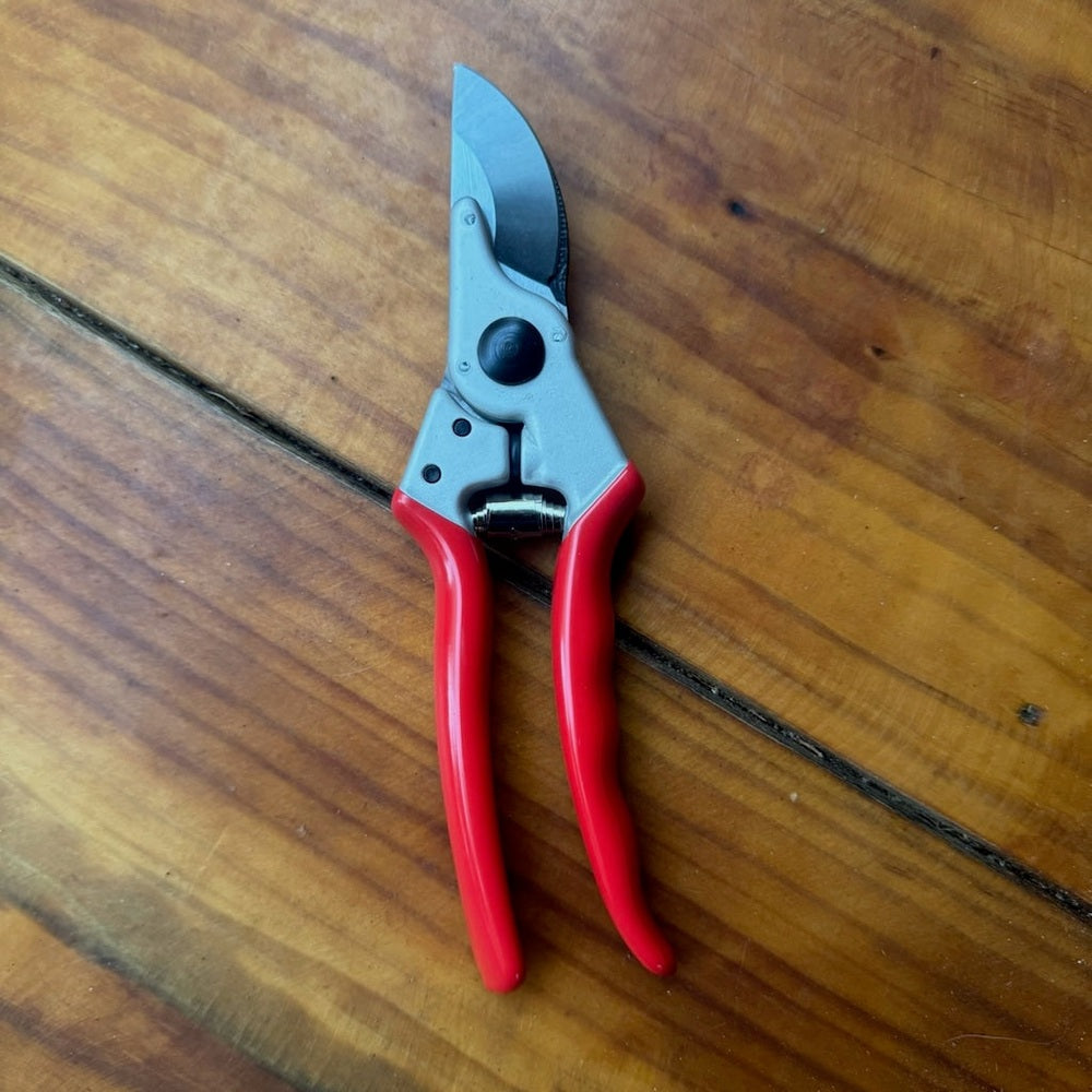 Front side of Ryset large bypass secateurs  on a wooden surface