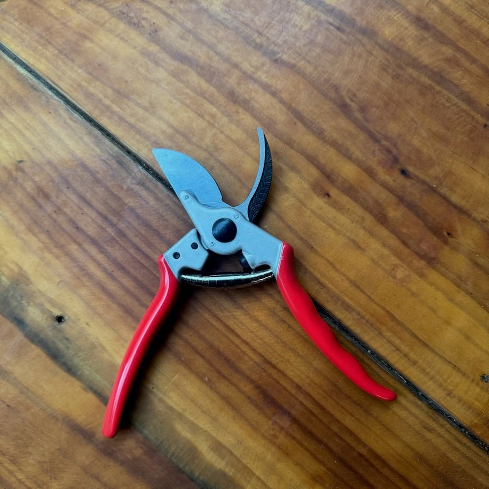 Heavy Duty Bypass Pruning Shears - Large Hand Size
