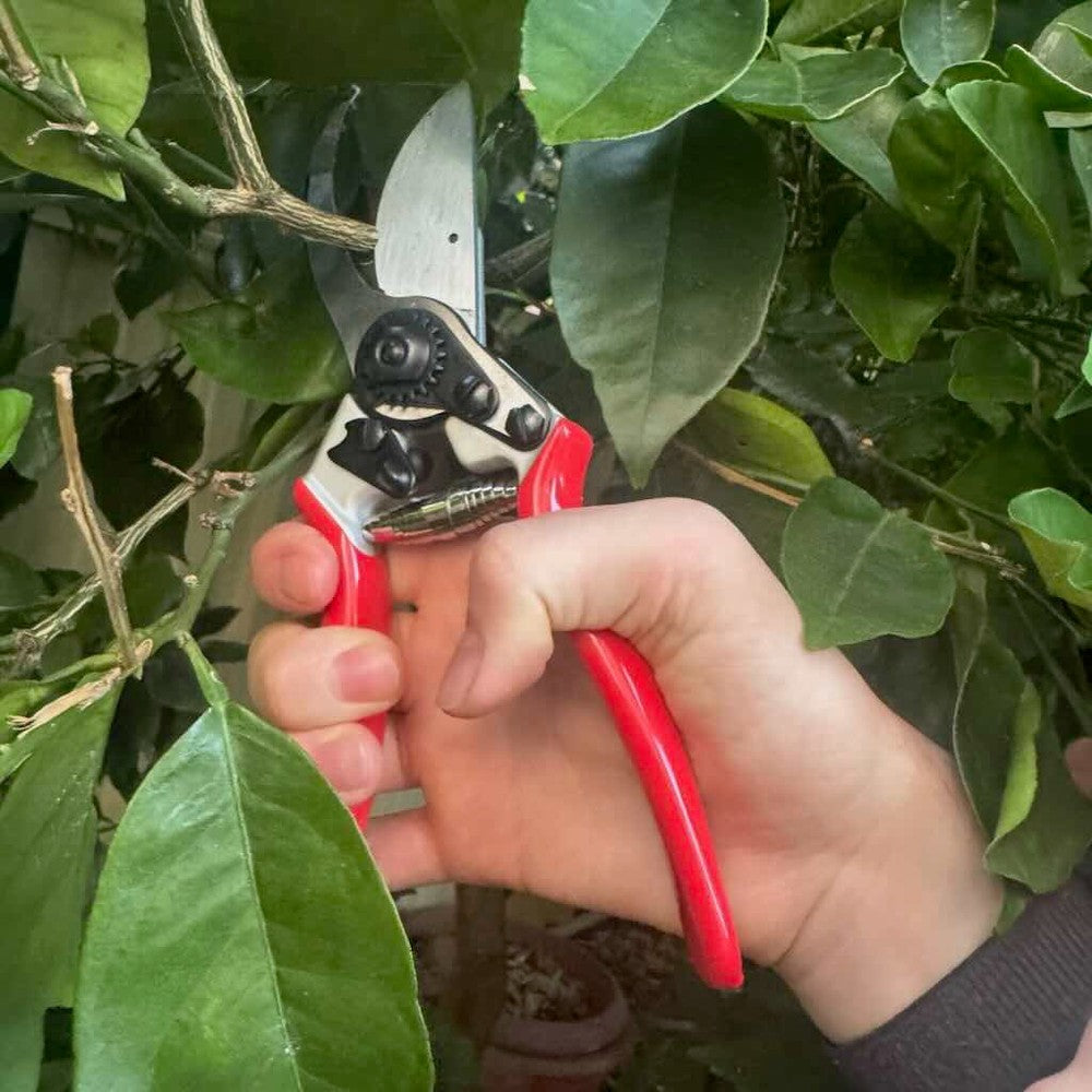Heavy Duty Bypass Pruning Shears - Large Hand Size