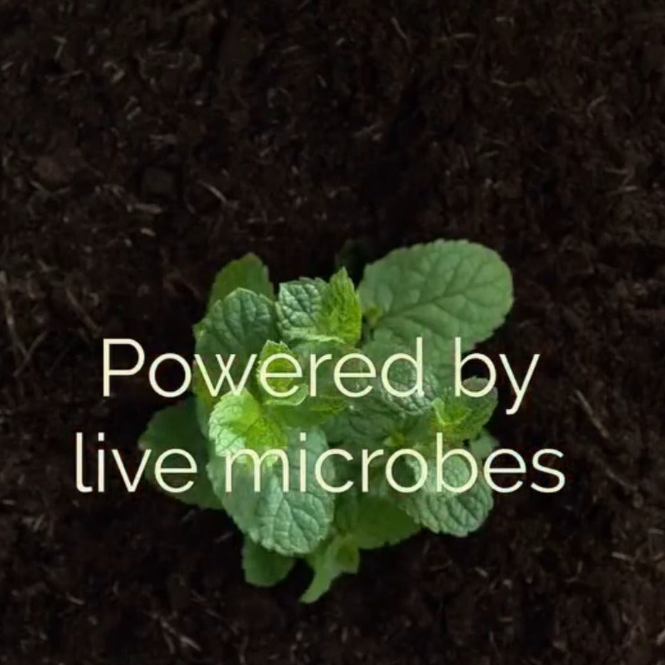 EarthFood - 100% Organic Live Plant &amp; Soil Superfood