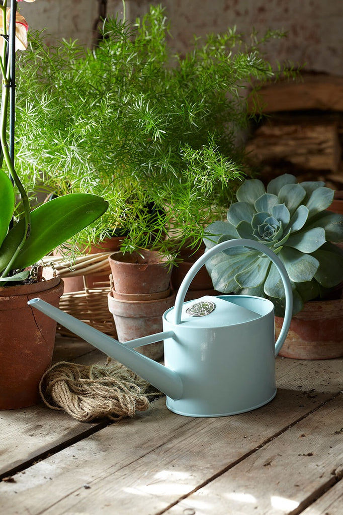 1.7L Sophie Conran Indoor Watering Can