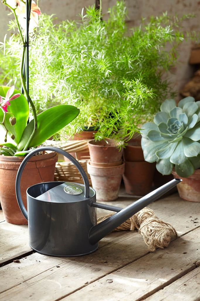 1.7L Sophie Conran Indoor Watering Can