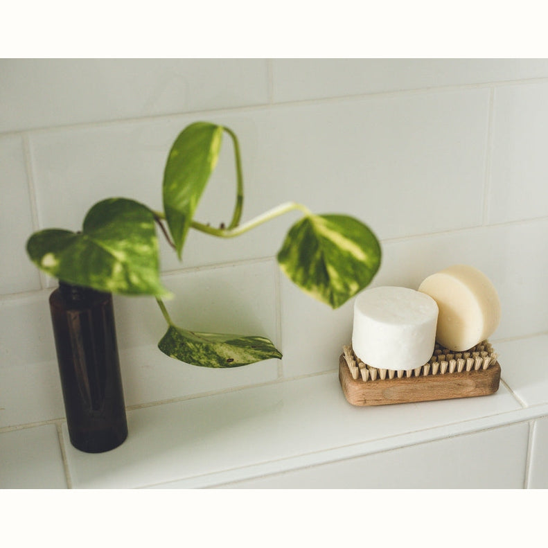 Scent Free Shampoo Bar - Oat and Chamomile Extract
